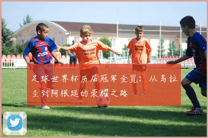 足球世界杯历届冠军全览:从乌拉圭到阿根廷的荣耀之路