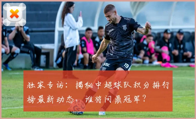 独家专访:揭秘中超球队积分排行榜最新动态,谁将问鼎冠军?