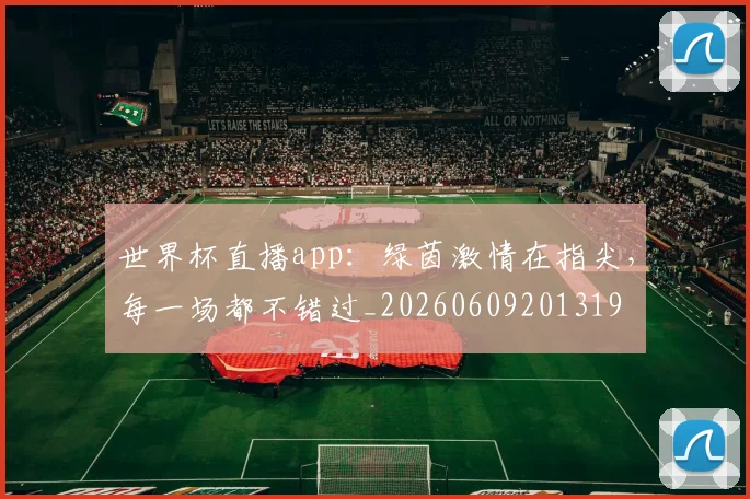 世界杯直播app：绿茵激情在指尖，每一场都不错过_20260609201319