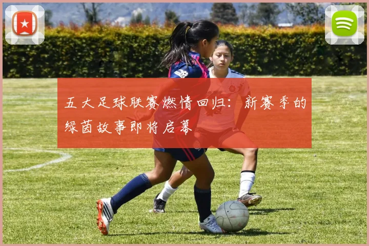 五大足球联赛燃情回归:新赛季的绿茵故事即将启幕